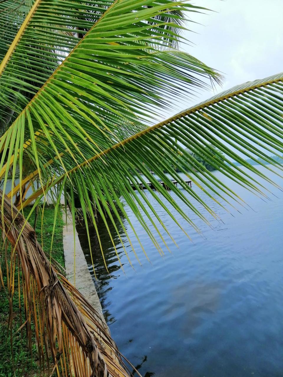 Hikka Lagoon Hikkaduwa Luaran gambar
