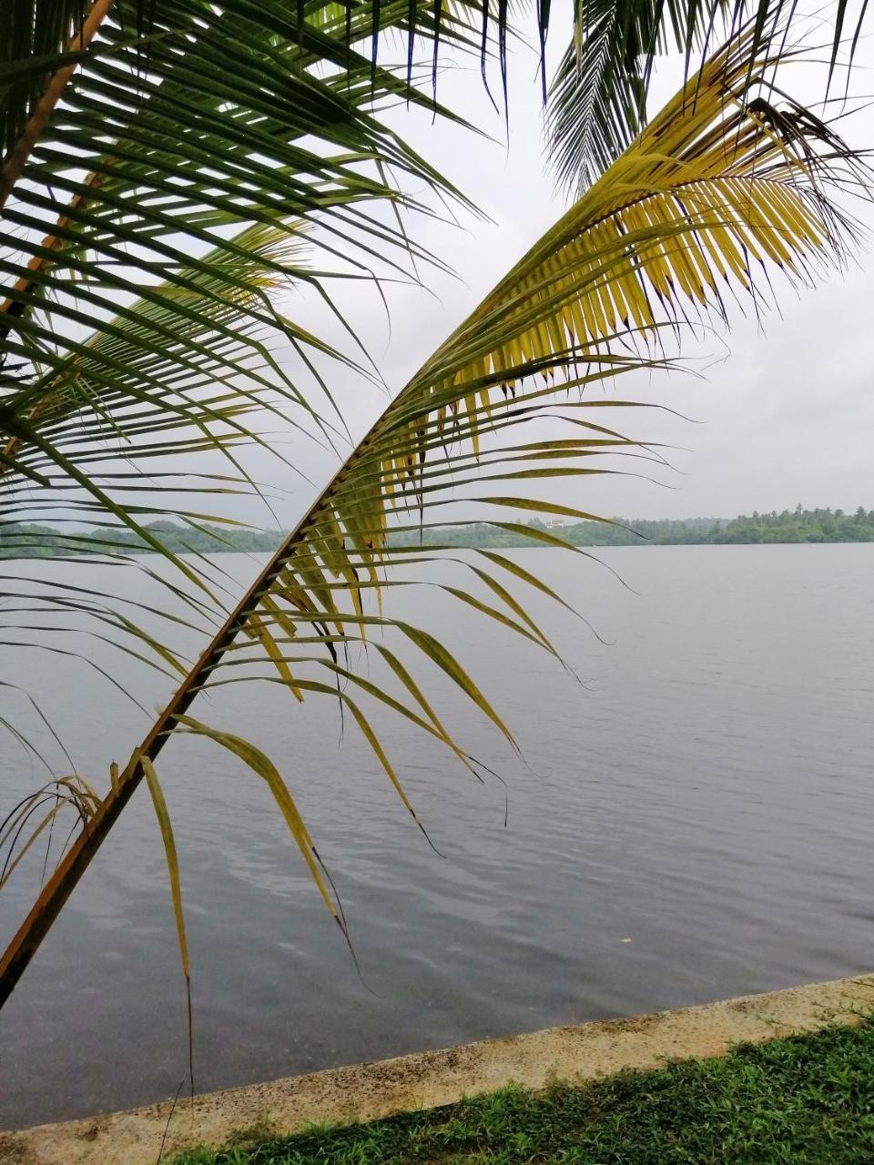 Hikka Lagoon Hikkaduwa Luaran gambar